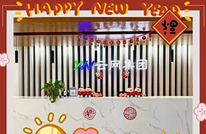 元春始風(fēng)華，萬象啟新朝|元旦快樂